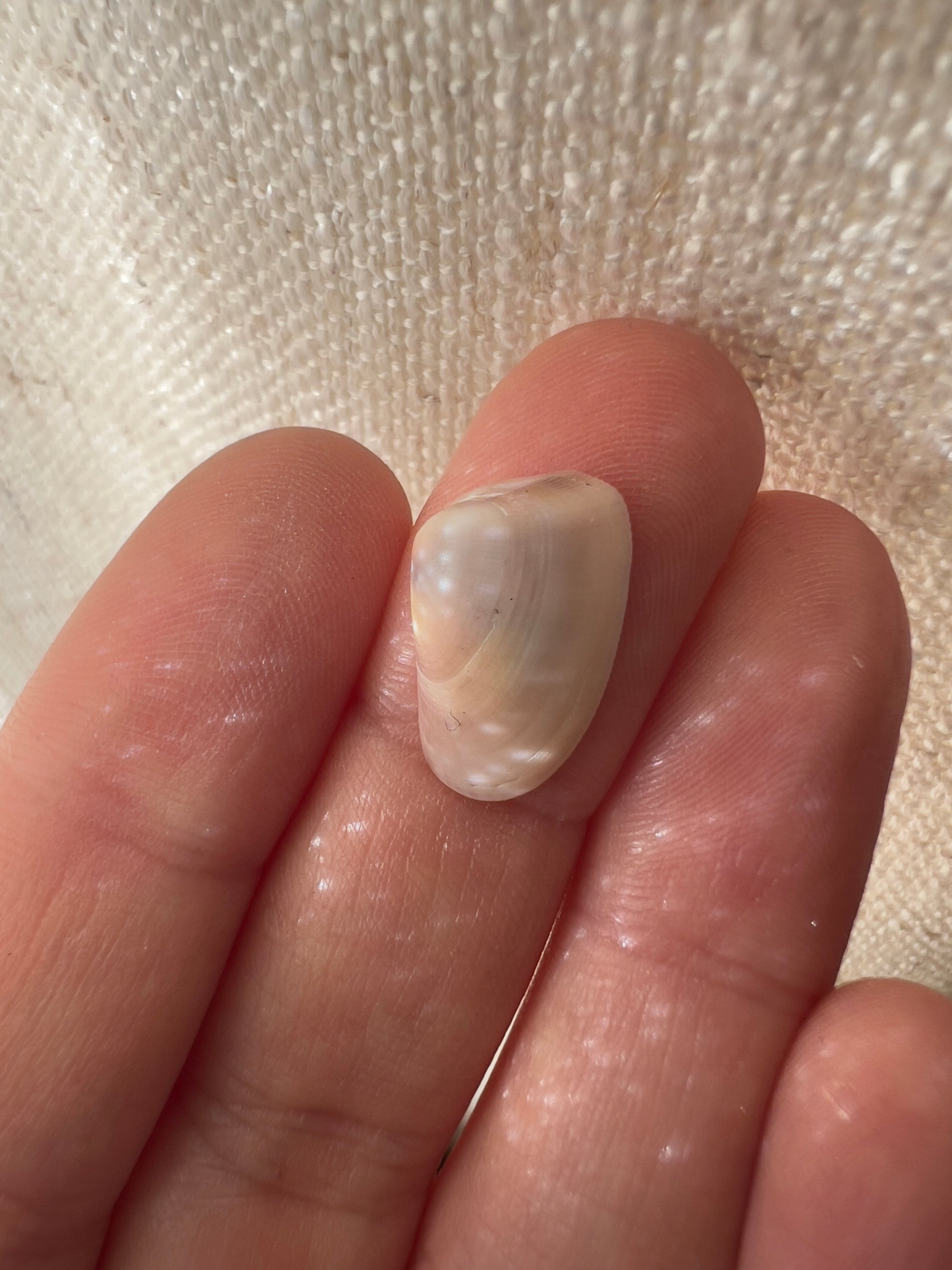 Tide Petal Ring