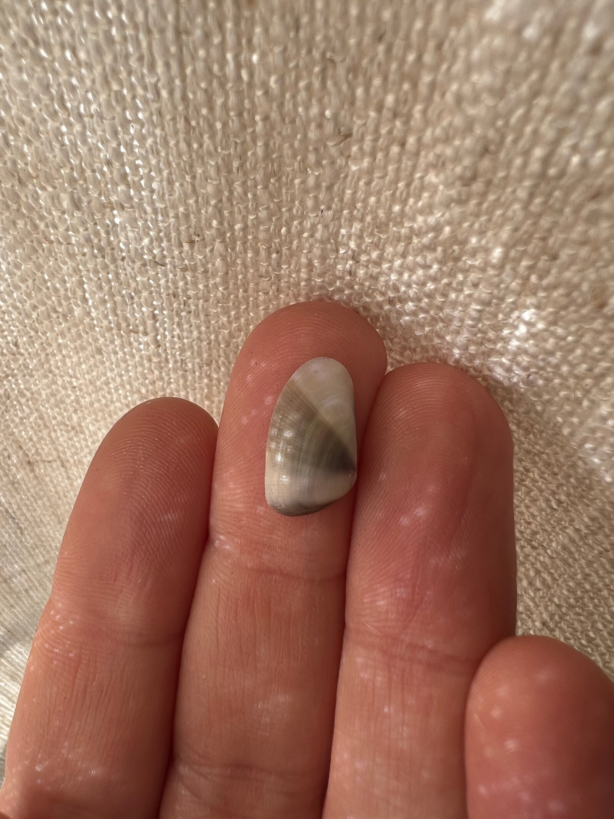 Little Vessel Ring