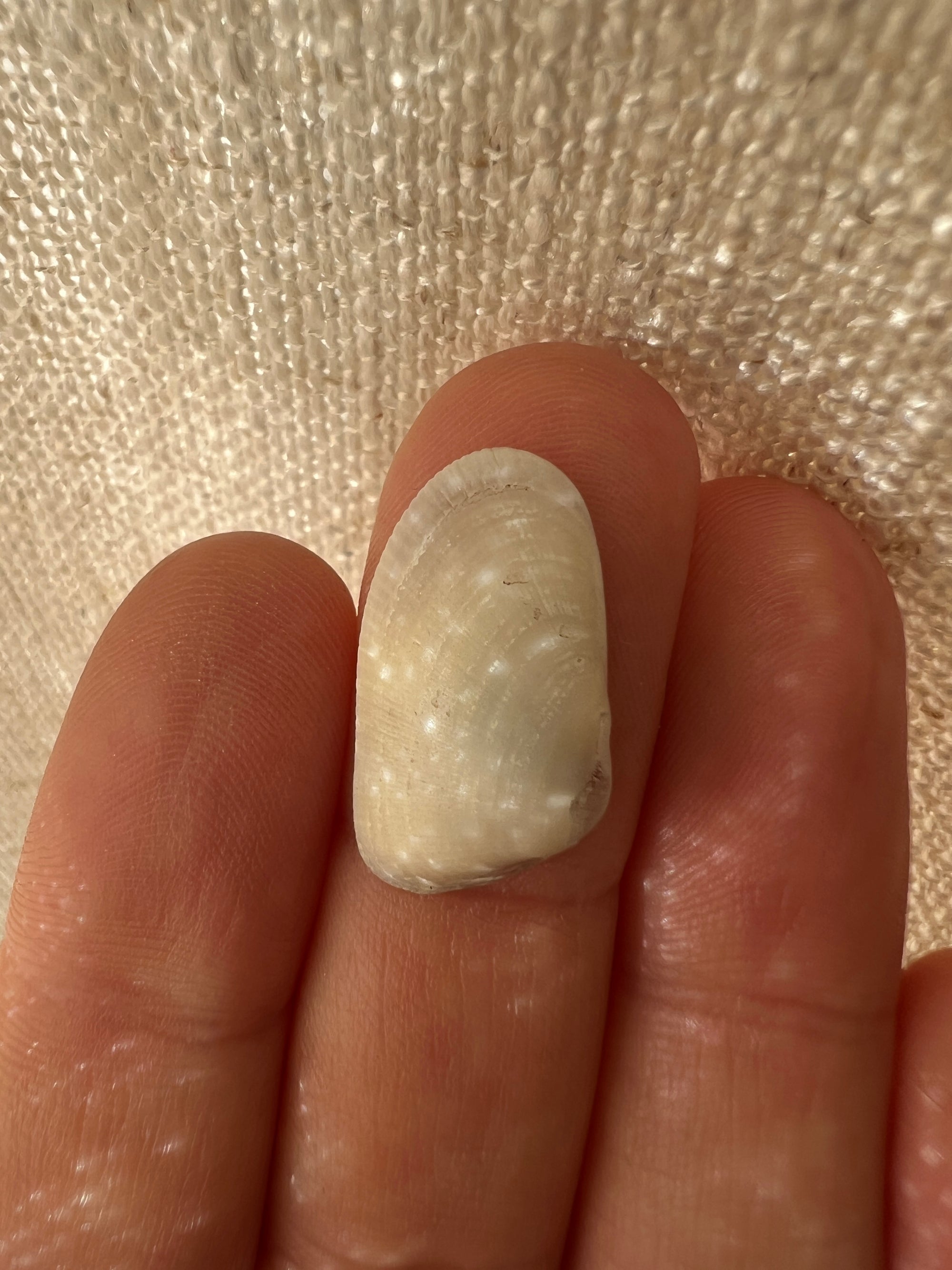 White Linen Ring