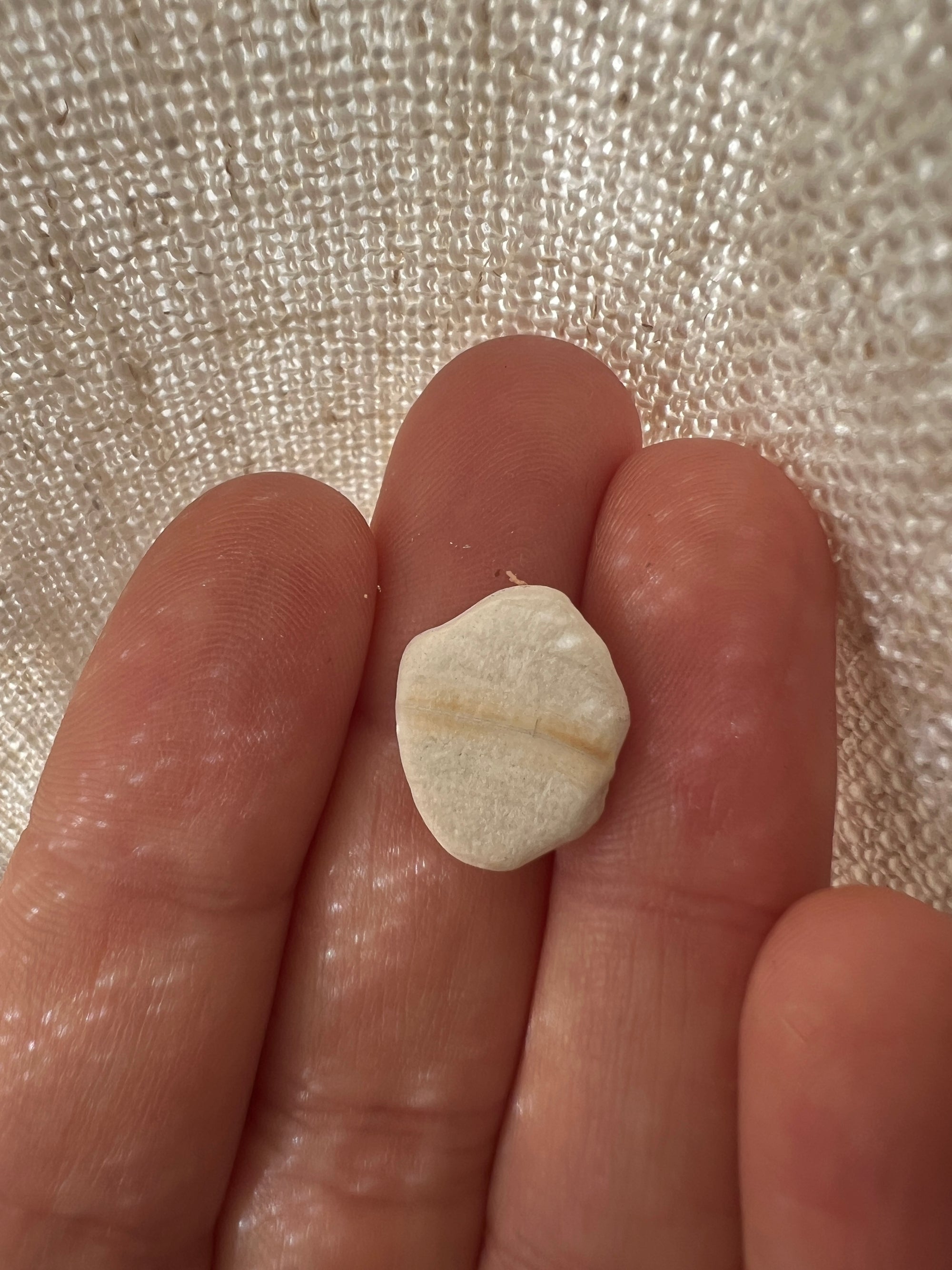 Ocean Bone Ring